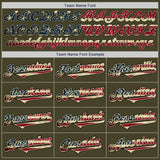 Custom Olive Vintage USA Flag-Black Authentic Two Tone Salute To Service Baseball Jersey
