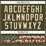 Custom Olive City Cream Pinstripe Vintage USA Flag Authentic Salute To Service Baseball Jersey