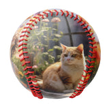 Personalized Pet Cat and Owner Photo Baseballs