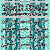 Custom Stitched Aqua Black-White 3D Pattern Design Snake Skin Print Sportswear Pullover Sweatshirt Hoodie