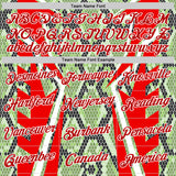 Custom Stitched Green Red Black-White 3D Pattern Design Snake Skin Print Sportswear Pullover Sweatshirt Hoodie
