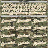 Custom Stitched Camo Vegas Gold-White 3D Salute To Service Sports Pullover Sweatshirt Hoodie