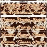Custom Brown Cream-Texas Orange 3D Pattern Tribal Indigenous Grunge Splash Hockey Lace Neck Jersey