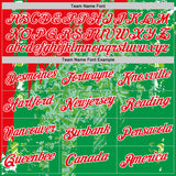 Custom Kelly Green Fire Red-White Mexico Performance T-Shirt