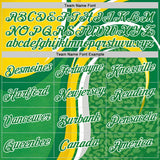 Custom Yellow Green White-Black South Africa Performance T-Shirt