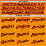 Custom Orange Black Netherlands Line Performance T-Shirt
