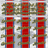 Custom White US Navy Blue Gray Red-Gold Netherlands Line Performance T-Shirt