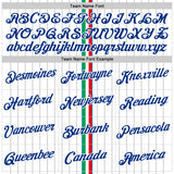 Custom White Royal Red-Green Italy Stripe Performance T-Shirt