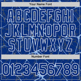Custom Royal Light Blue-White 3D Pattern Design Abstract Network Authentic Baseball Jersey