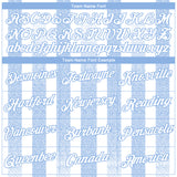 Custom White-Light Blue 3D Pattern Vertical Stripe Grunge Texture Classic Performance T-Shirt