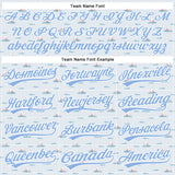 Custom Gray Light Blue-White 3D Pattern Design Animal Dog Surfing Authentic Baseball Jersey
