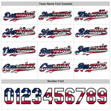 Custom White Gray Pinstripe USA Flag-Black 3D Patriotic American Symbol Statue of Liberty Authentic Baseball Jersey