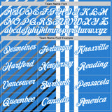 Custom Blue White Powder Blue Gray-Black 3D Pattern Design Argentina Stripe Sportswear Performance T-Shirt