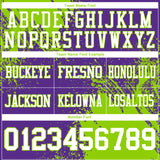 Custom Purple White-Neon Green 3D Pattern Abstract Brush Stroke Mesh Authentic Football Jersey