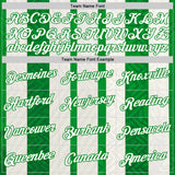 Custom White Green-Grass Green 3D Pattern Design Mexico Stripe Sport Wear Performance T-Shirt