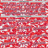 Custom Camo Maroon-White Digital Camouflage Salute To Service Performance T-Shirt