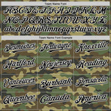 Custom Camo Black-White Bomber Full-Snap Varsity Letterman Salute To Service Hoodie Jacket