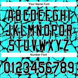 Custom Aqua Black-White Abstract Network 3D Pattern Design Bomber Full-Snap Varsity Letterman Hoodie Jacket