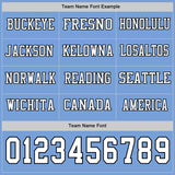 Custom Light Blue White-Black Long Sleeve Authentic Football Jersey
