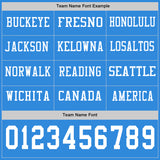 Custom Powder Blue White Long Sleeve Authentic Football Jersey