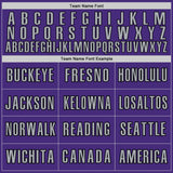 Custom Purple Gray-Black Classic Color Block Side Panel Stripe Authentic Baseball Jersey