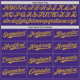 Custom Purple Old Gold Authentic Baseball Jersey