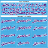 Custom Sky Blue Purple-White Performance T-Shirt