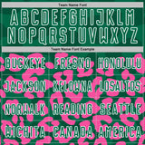 Custom Pink Kelly Green-White Animal Leopard Print Sports Sublimation Soccer Uniform Jersey