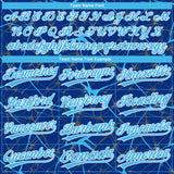 Custom Royal Sky Blue-White 3D Pattern Design Abstract Network Two-Button Unisex Softball Jersey