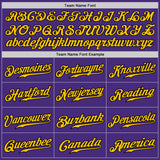 Custom Purple Gold-Black Authentic Fade Fashion Baseball Jersey