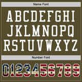 Custom Olive Vintage USA Flag-White Mesh Authentic Salute To Service Football Jersey