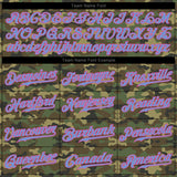 Custom Camo Light Blue-Pink Authentic Salute To Service Baseball Jersey